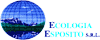 ECOLOGIA ESPOSITO srl