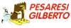 PESARESI GILBERTO srl