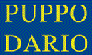 PUPPO DARIO FIGLIO sas PUPPO DARIO FIGLIO sas