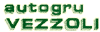 AUTOGRU VEZZOLI srl