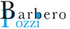 BARBERO POZZI di BARBERO ANDREA e C. sas