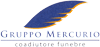 GRUPPO MERCURIO di DI GASPARINI PIERLUIGI srl