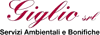 GIGLIO SERVIZI AMBIENTALI E BONIFICHE srl