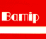 BAMIP snc BAMIP snc