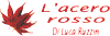 L ACERO ROSSO di RUZZIN LUCA