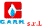 CARM srl