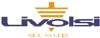 LIVOLSI GROUP srl