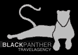 BLACK PANTHER TRAVEL AGENCY