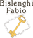 BISLENGHI FABIO