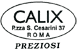 CALIX di MASSIMO PALMIERO  C. snc