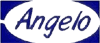 ANGELO BOERO