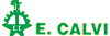 CALVI ERNESTO  C. snc