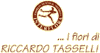 I FIORI di RICCARDO TASSELLI