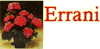 ERRANI MARCO - FLORICOLTURA