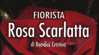 FIORISTA ROSA SCARLATTA di CRISTINA