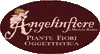 ANGELINFIORE ANGELINFIORE