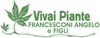 VIVAI PIANTE FRANCESCONI ANGELO  FIGLI AZIENDA AGRICOLA S. ALESSIO DI FRANCESCONI ANGELO
