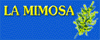 LA MIMOSA PIANTE E FIORI ED ADDOBBI di CRISTOFANI NADIA
