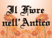 IL FIORE NELL ANTICO snc di TOMASSINI SARA IL FIORE NELL ANTICO snc di TOMASSINI SARA