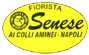 FIORISTA SENESE