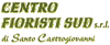 CENTRO FIORISTI SUD srl di SANTO CASTROGIOVANNI