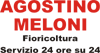 AGOSTINO MELONI srl AGOSTINO MELONI srl
