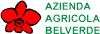 AZIENDA AGRICOLA BELVERDE
