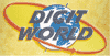 DIGIT WORLD snc