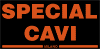 SPECIAL CAVI sas