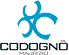 CODOGNO MAURIZIO srl