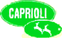TRANCERIA CAPRIOLI srl
