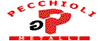 GUIDO PECCHIOLI srl