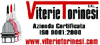 VITERIE TORINESI srl