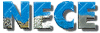 NECE spa