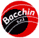 BACCHIN srl