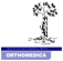 ORTHOMEDICA OFFICINA ORTOPEDICA snc - ORTOPEDIA