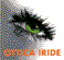 OTTICA IRIDE sas