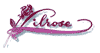 ISTITUTO DI ESTETICA LILROSE