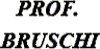 PROF. STEFANO BRUSCHI