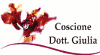 STUDIO MEDICO COSCIONE DR.SSA GIULIA
