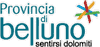 AMMINISTRAZIONE PROVINCIALE DI BELLUNO