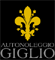 AUTONOLEGGIO GIGLIO srl