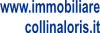 AGENZIA COLLINA LORIS IMMOBILIARE di LORIS COLLINA