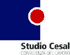 STUDIO CESAL - CONSULENZA DEL LAVORO
