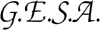 G.E.S.A. sas