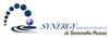 SYNERGY SERVIZI INTEGRATI di SERENELLA RUSSO