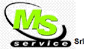MS SERVICE