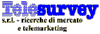 TELESURVEY srl