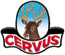 CERVUS INDUSTRIA PENNELLI sas