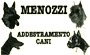 MENOZZI RENZO